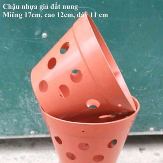 Rẻ- Combo 20 chậu giả đất nung phi 17 nhập khẩu, phân phối.
