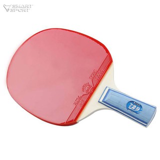 Vợt bóng bàn 729
