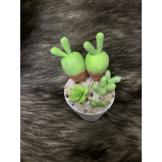 chậu tiểu cảnh sen đá mini thủ công bằng đất sét