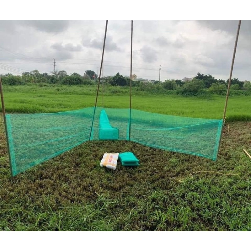 DỚN CHẶN SÔNG