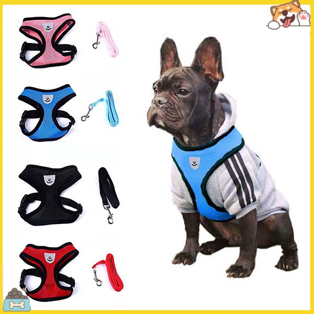 Áo yếm kèm dây xích dắt thú cưng