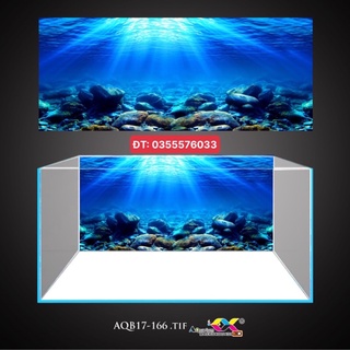 Tranh 3D - phông nền dán hồ cá, bể thuỷ sinh siêu đẹp và nét, có keo sẵn trên bề mặt, có thể in theo kích thước yêu cầu