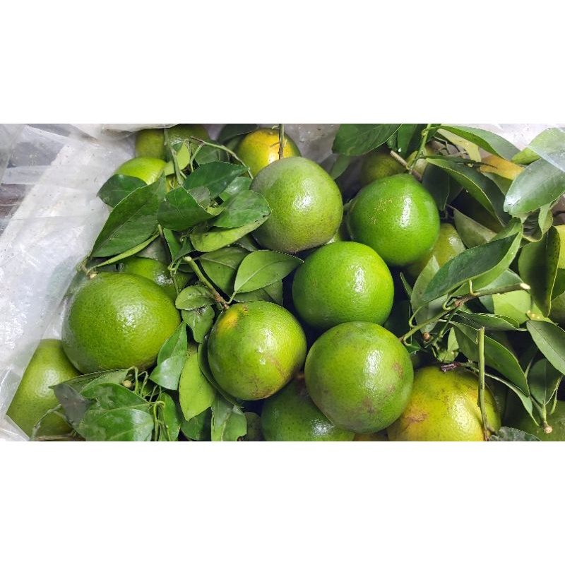 Quýt đường     1 kg