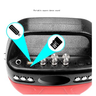 Loa kẹo kéo Bluetooth Echo PKCB-610