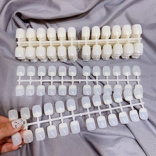 Móng mẫu mới - Móng sơn mẫu (240 móng)