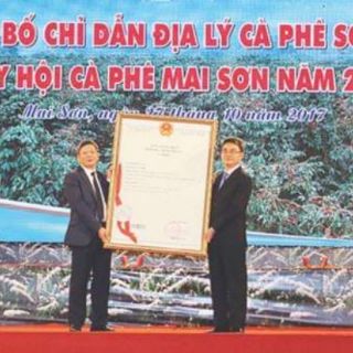 Tinh Dầu Cà Phê Nguyên Chất