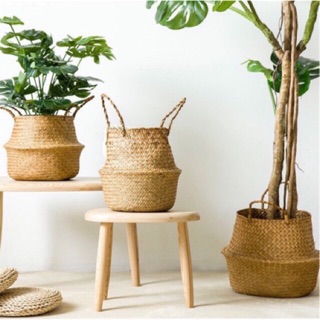 Giỏ cói đựng cây decor trang trí Size lớn