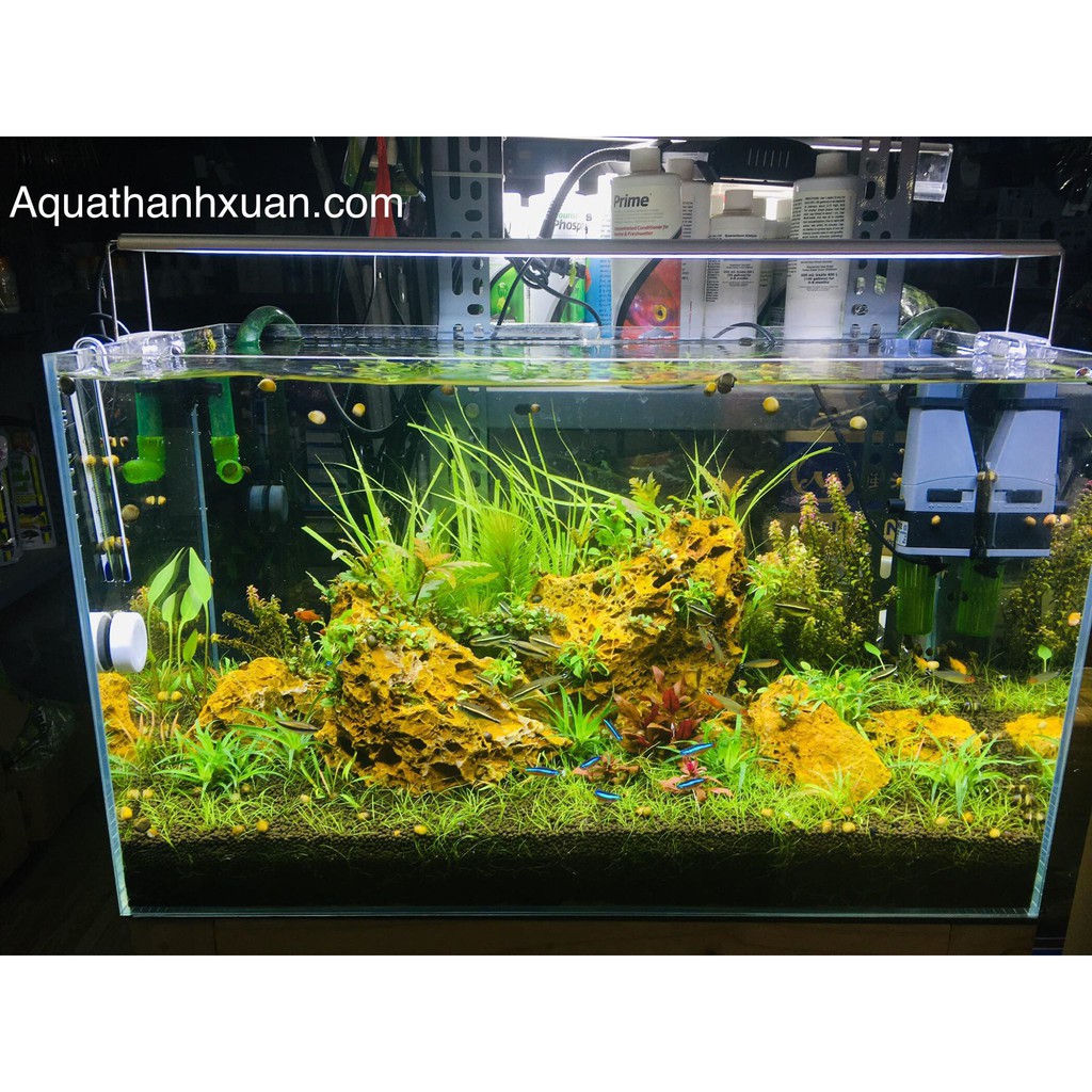 ĐÈN LED ODYSSEA SLIM X 10000K CHO BỂ THỦY SINH