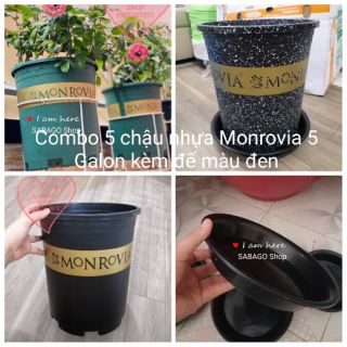 Combo 5 chậu nhựa Monrovia 5 Galon kèm đế chậu