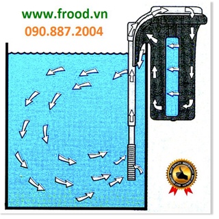Lọc thác hồ cá có bông lọc