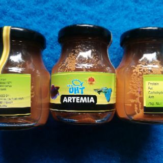 Artemia UHT Thái - thức ăn cho cá ấp sẵn