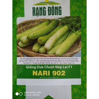Hạt giống Dưa chuột nếp lai F1 0.5gr