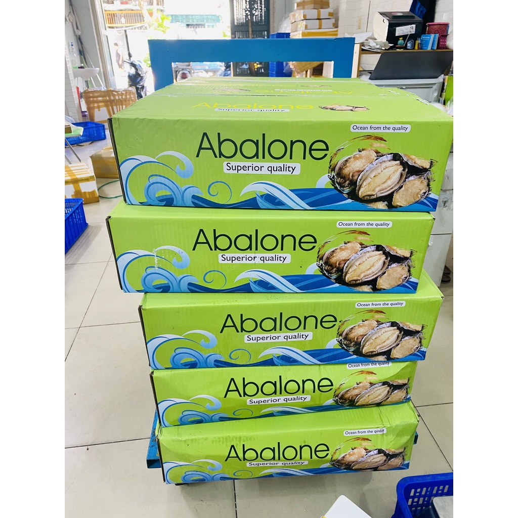 Giá sỉ -  Bào Ngư Abalone size 20con/1Kg