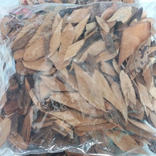 cây nổ gai phơi khô 1kg