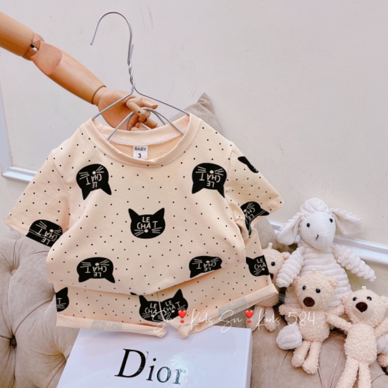 Bộ cộc tay cotton mèo xám, bộ mùa hè cho bé trai bé gái