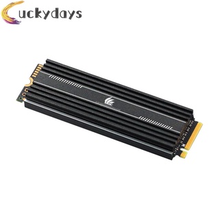 LUCKYDAYS M.2 SSD Heatsink Cooler M2 2280 Solid State Hard Disk Radiator Thermal Pad