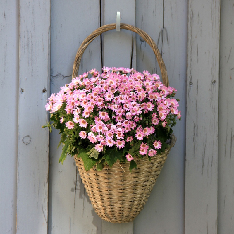 Giá Đỡ Thức Ăn Bằng Kim Loại Chịu Tải Mạnh Chống Rơi Màu Trắng Cho Chim Trong Nhà / Ngoài