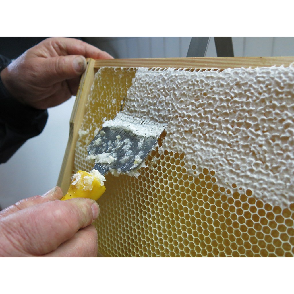 MẬT ONG HOA BẠC HÀ GIÀ GIANG NGUYÊN CHẤT HŨ DÙNG THỬ 200ML | BigBuy360 - bigbuy360.vn