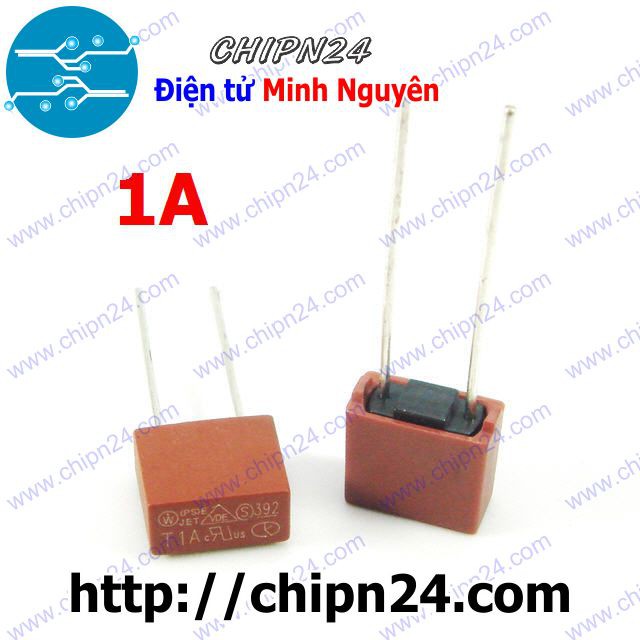 [2 CÁI] Cầu Chì Vuông 1A 250V (T1A250V)