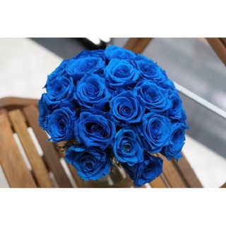 Link đặt hàng si giá rẻ
