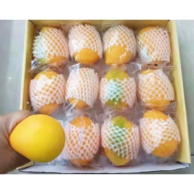 Xoài bóp bóng lười DCB4 dứa bóp đồ chơi trong phòng squishy toy