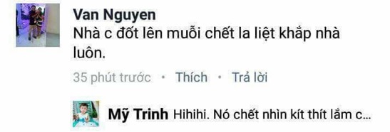 Combo 20 hộp Nhang muỗi Thái