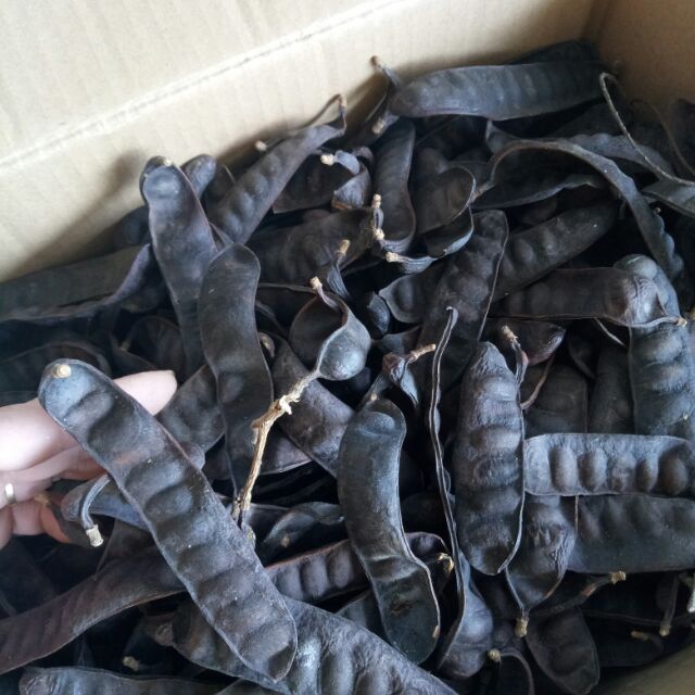 Bồ kết khô 500gr