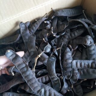 Bồ kết khô 500gr