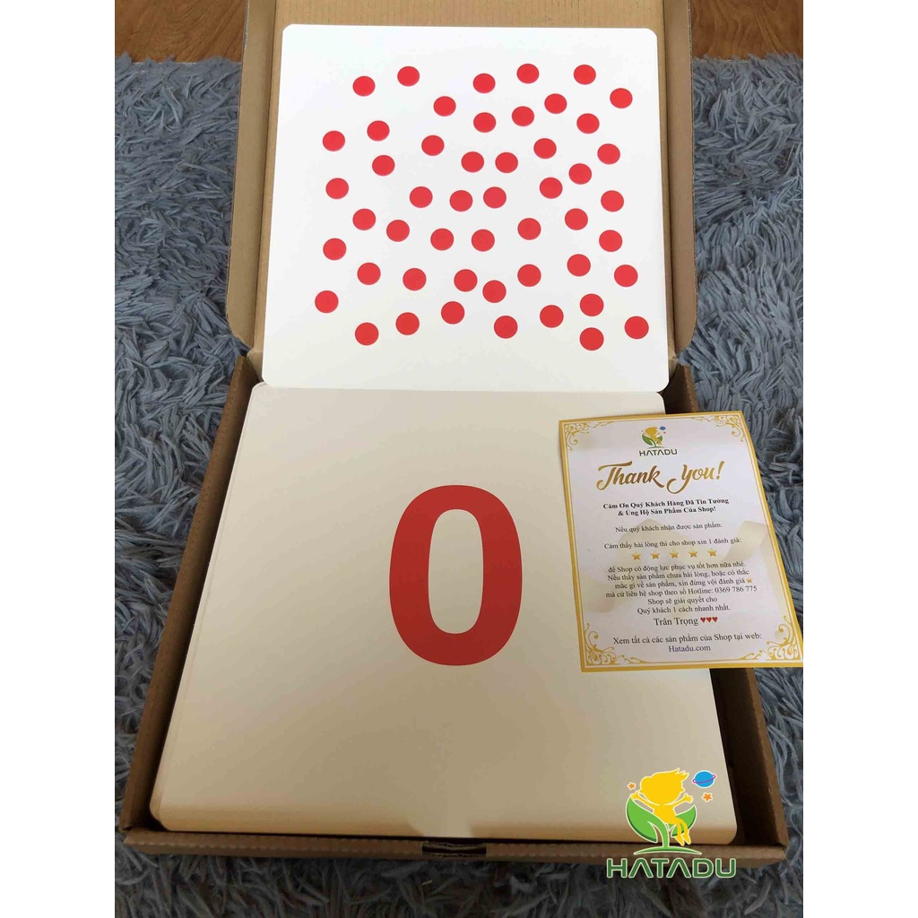 Combo Bé Thông Minh - Thẻ Fashcard