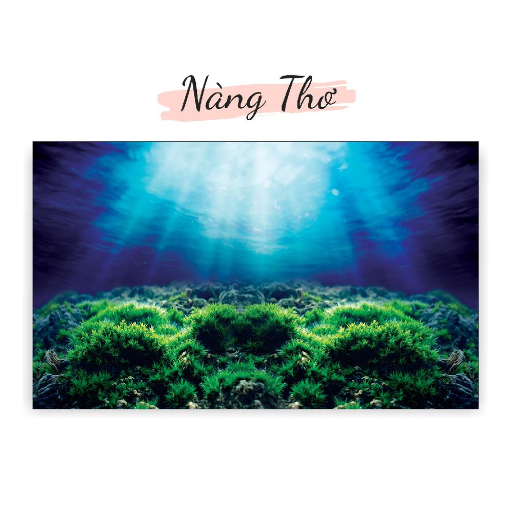 DECAL DÁN HỒ CÁ NHIỀU KÍCH THƯỚC_THIẾT KẾ NÀNG THƠ