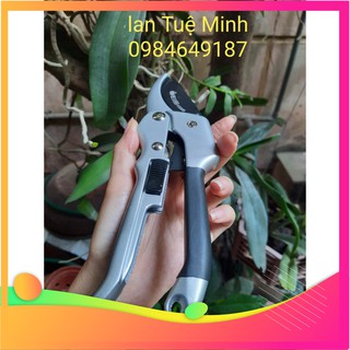 (HÀNG ĐÀI LOAN LOẠI 1) KÉO CẮT CÀNH CỘNG LỰC LƯỠI THÉP CARBON  P869-  CHẤT LƯỢNG CAO (Loại 1)