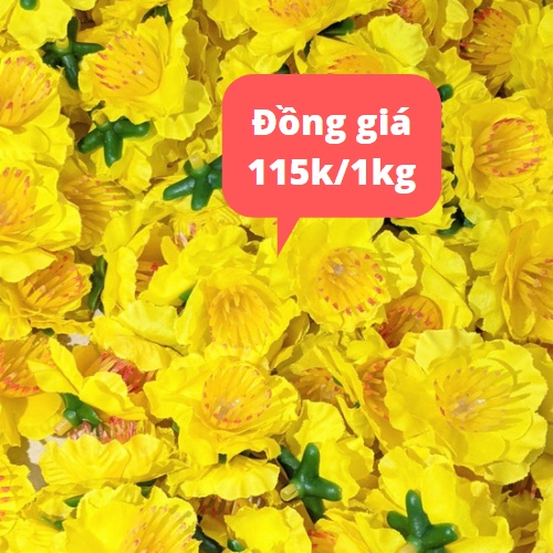 1kg Hoa mai trang trí tết 2022 Siêu Đẹp ( có dây kẽm,lá,nụ)