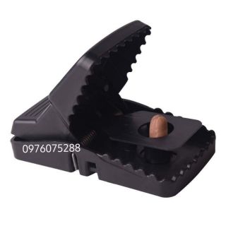 Bẫy chuột thông minh 5 cái