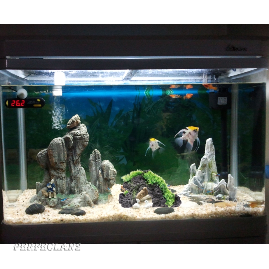 Arching Artificial Hidden Cave Micro Landscape Aquarium Fish Tank Mountain