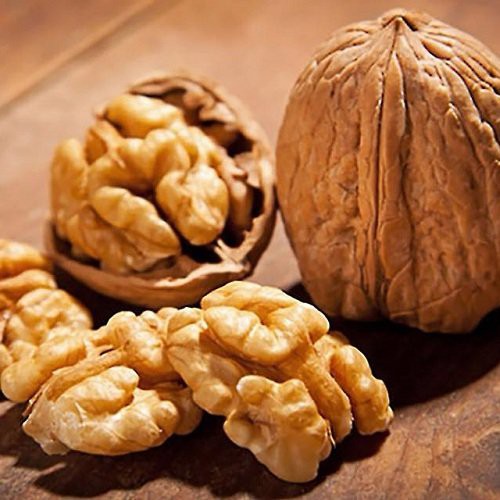 500g óc chó nhập khẩu | BigBuy360 - bigbuy360.vn