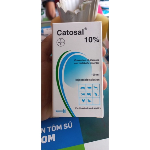 Catosal 10% thái lan