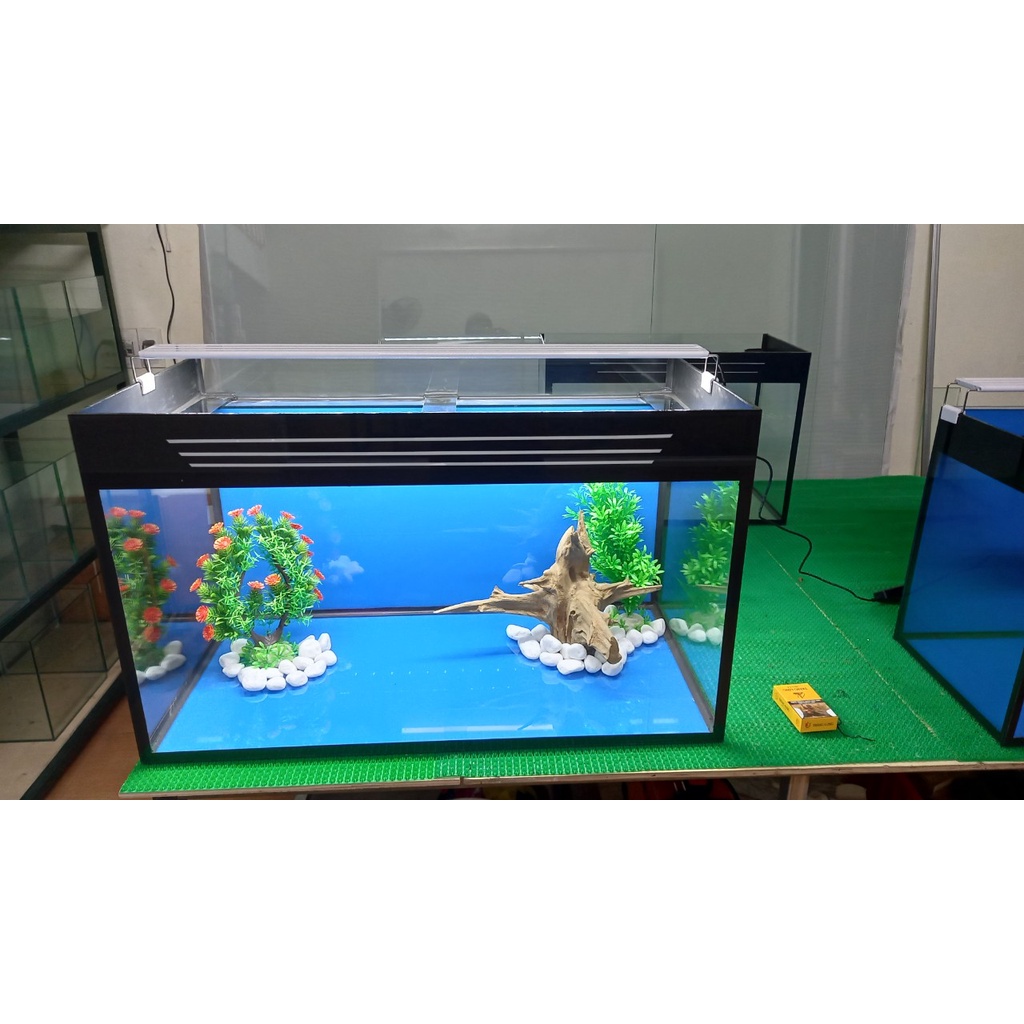 Bể Cá