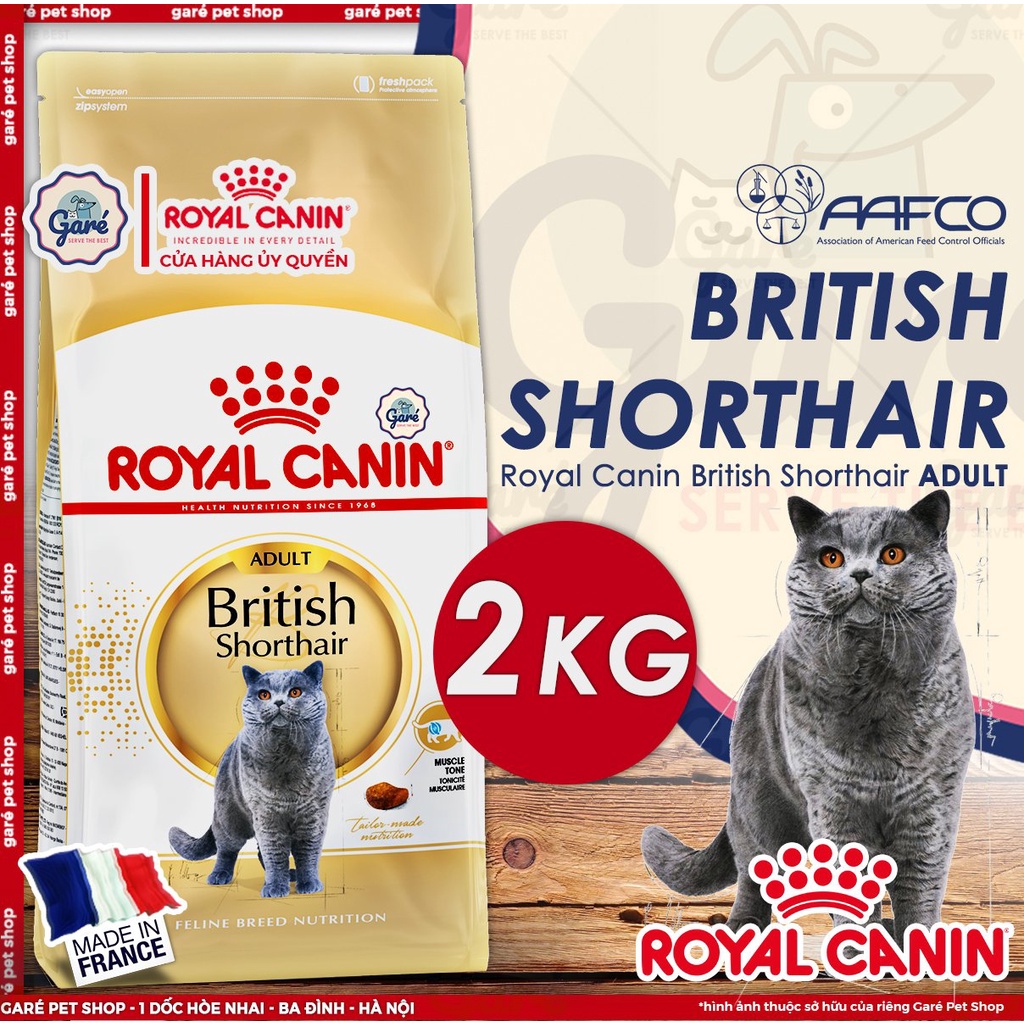 2kg - Hạt British Shorthair Royal Canin dành cho Mèo Anh lông ngắn trưởng thành trên 12 tháng tuổi Garé Pet
