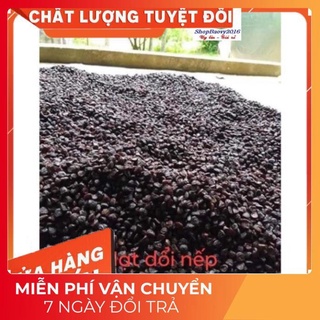 (Dược Liệu Quý) Hạt dổi nếp THƠM ĐẶC TRƯNG tây bắc, dùng thử (5 hạt)