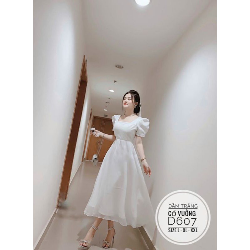 ĐẦM BIG SIZE 55/100KG