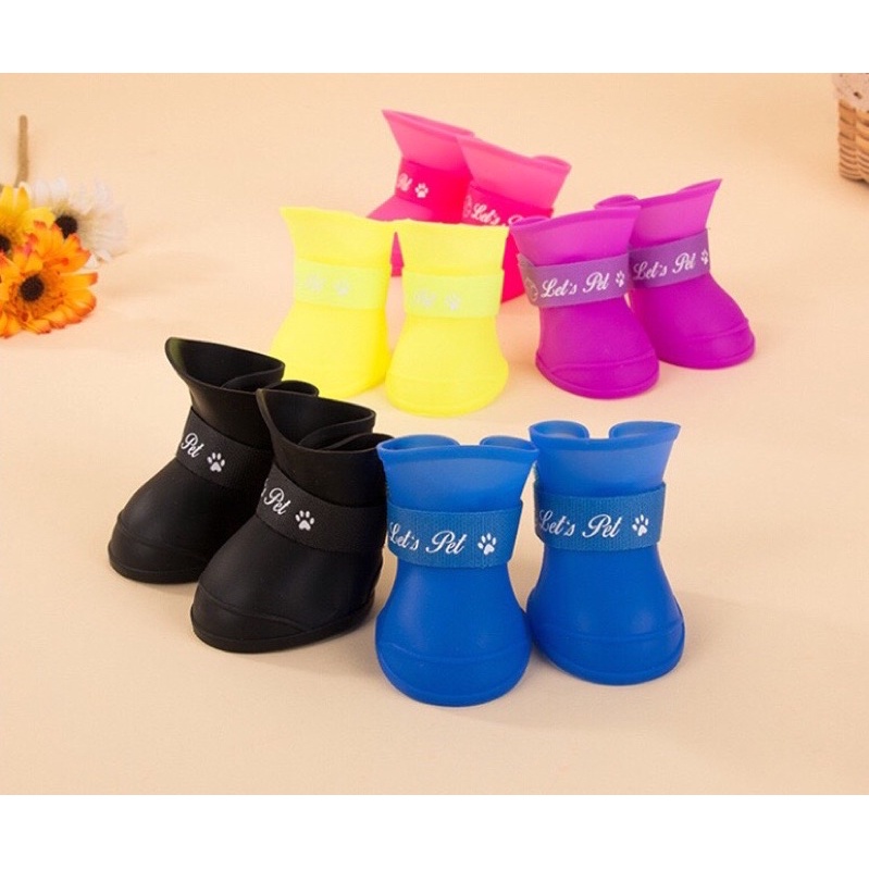 Giày chống nước chó mèo