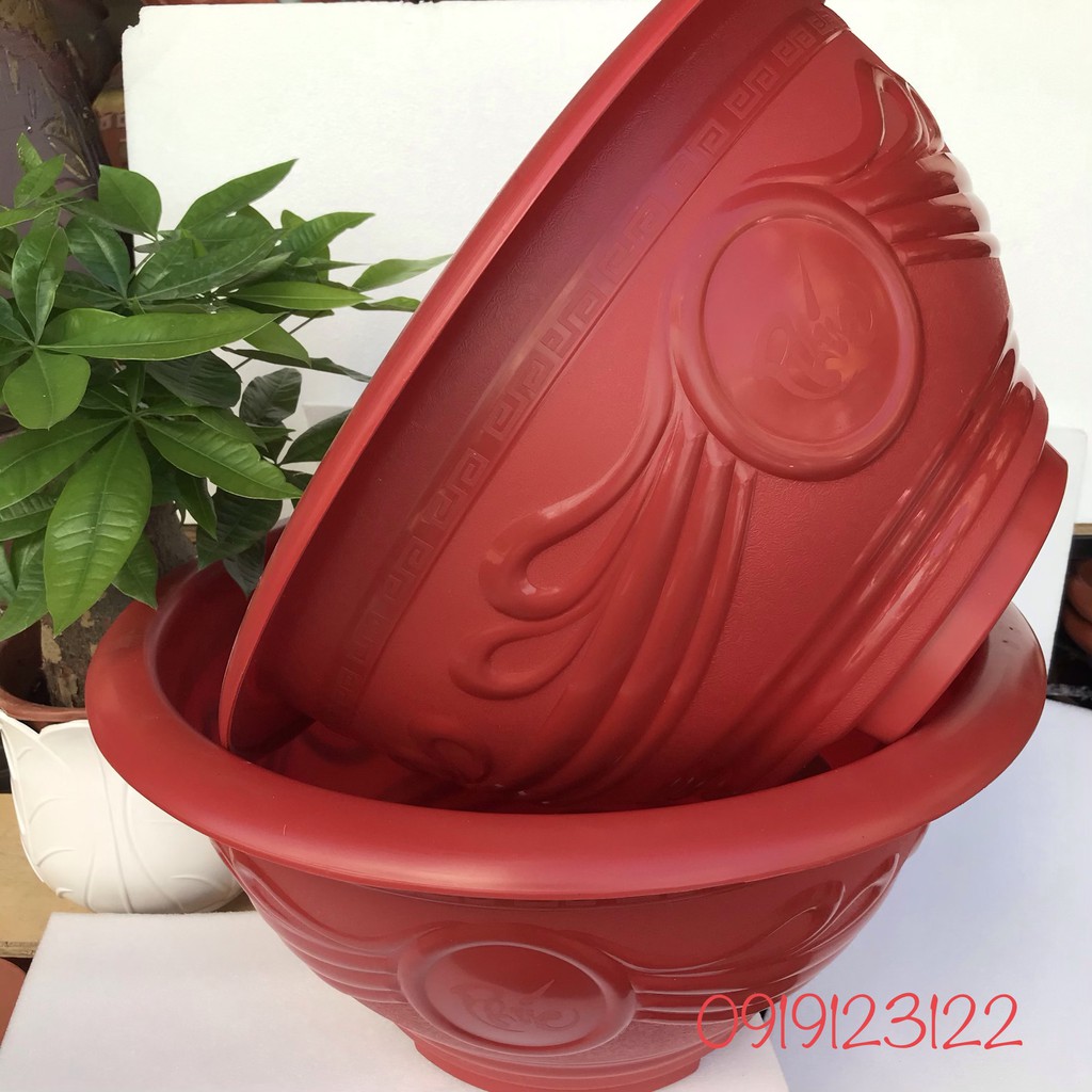 5 Chậu nhựa tròn to T48 đỏ KT 46*22cm trồng đào, quất, hoa hồng