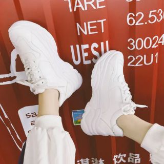 Combo 5 đôi giày sneaker nữ siêu hót