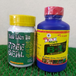 Combo B1 thái kích rễ + keo liền sẹo mỹ