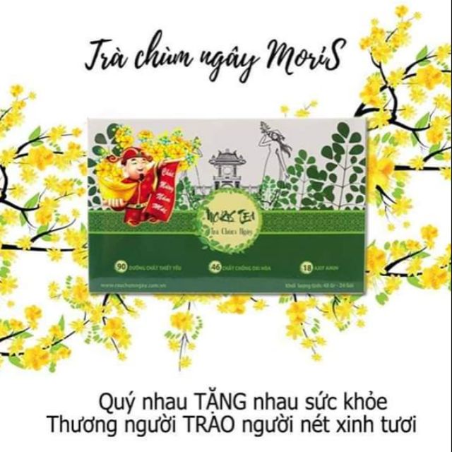 [Masa-Mẫu Tết] Trà chùm ngây túi lọc 24 gói(Kèm gợi ý hộp quà)