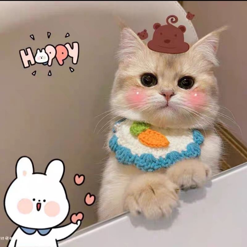 Tạp dề mèo len móc cho chó mèo cực xinh theo yêu cầu ib