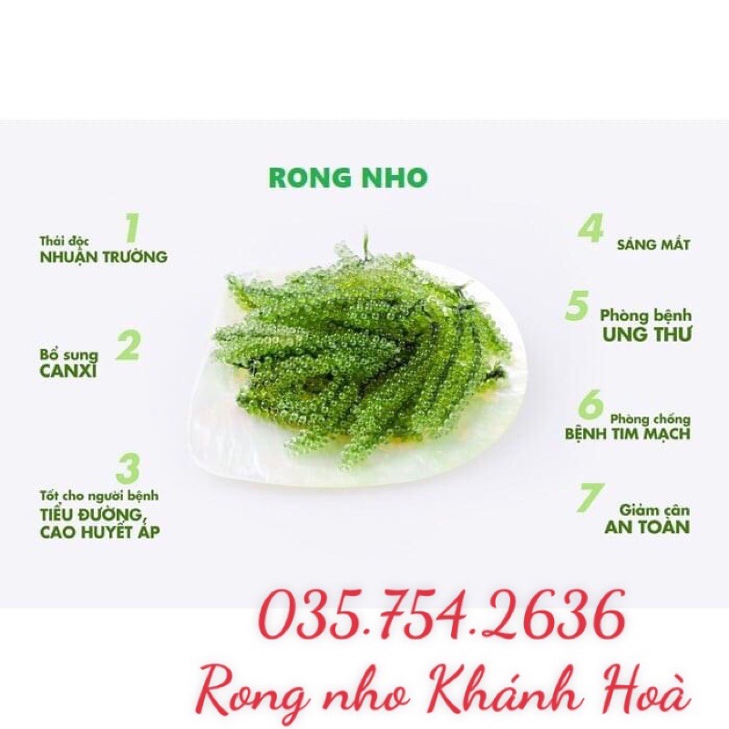 Rong Nho Tách Nước Khánh Hoà 100gr - Công Nghệ Tách Nước Tiêu Chuẩn Nhật Bản