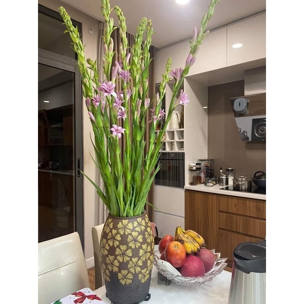 Củ Hoa Huệ Tím Kép Siêu Thơm