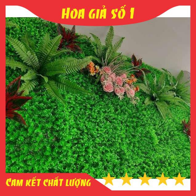 Cỏ Tai Chuột, thảm cỏ nhân tạo, nhựa giả size 60*40cm, decor, trang trí tường nhà, văn phòng, nhà hàng, sự kiện