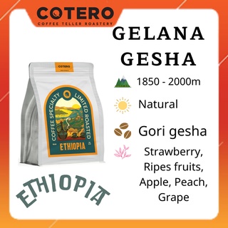 Ethiopia gelana gori gesha natural- cotero coffee, drip, cold brew, espresso